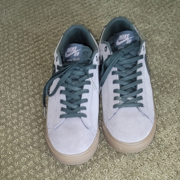 Nike Other - Nike SB Sneakers